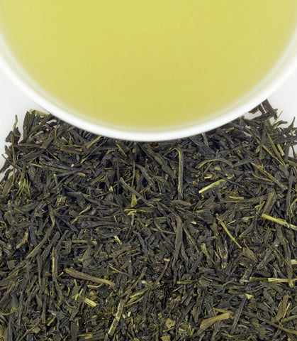 Japanese Sencha, Classic Tin of 20 Sachets